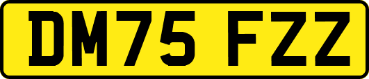 DM75FZZ
