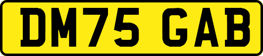DM75GAB