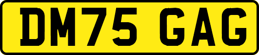 DM75GAG