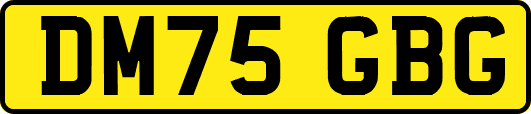 DM75GBG