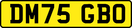 DM75GBO
