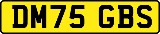 DM75GBS