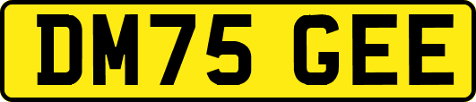 DM75GEE