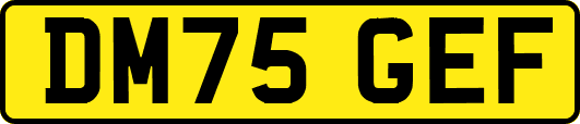 DM75GEF