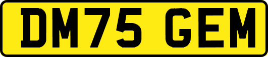 DM75GEM