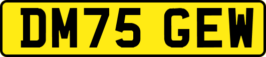 DM75GEW