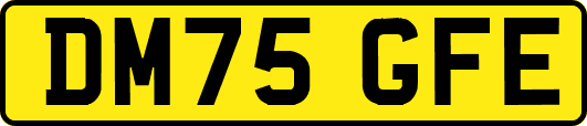 DM75GFE