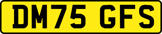 DM75GFS