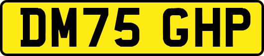 DM75GHP