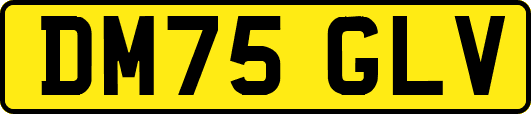 DM75GLV