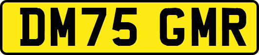 DM75GMR
