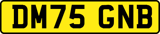 DM75GNB