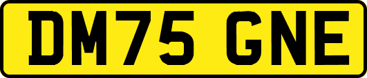 DM75GNE
