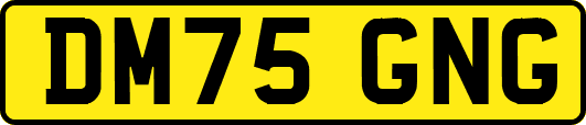 DM75GNG