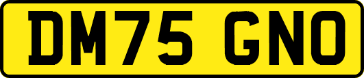 DM75GNO