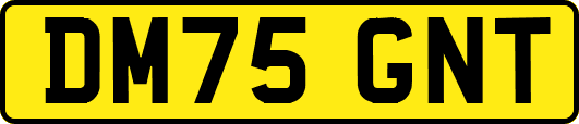 DM75GNT
