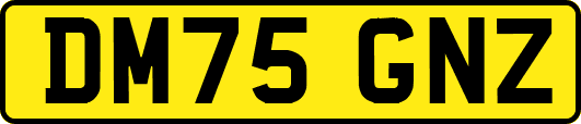 DM75GNZ