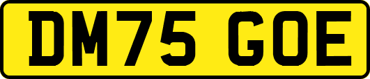DM75GOE