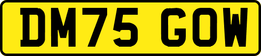 DM75GOW