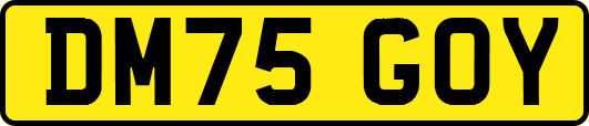 DM75GOY