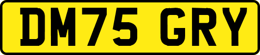 DM75GRY