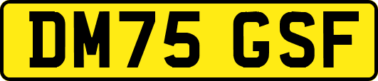 DM75GSF