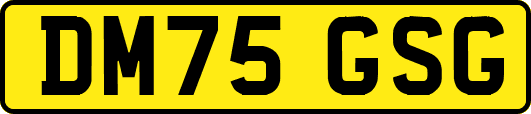 DM75GSG