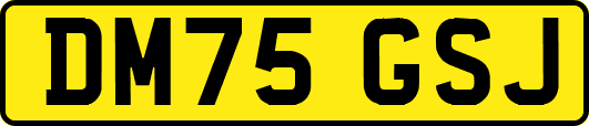 DM75GSJ