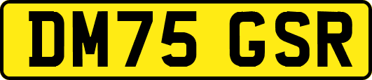 DM75GSR