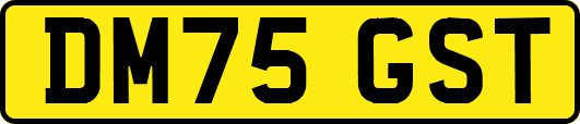 DM75GST