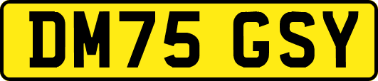 DM75GSY
