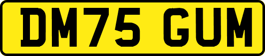 DM75GUM