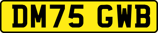 DM75GWB