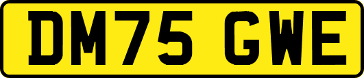 DM75GWE