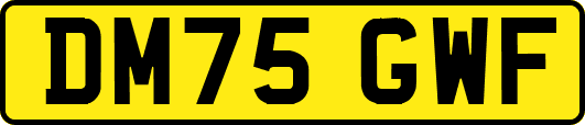DM75GWF