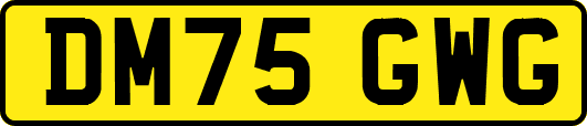 DM75GWG