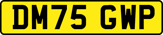 DM75GWP
