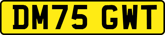 DM75GWT