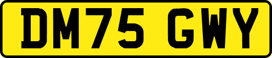 DM75GWY