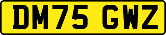 DM75GWZ