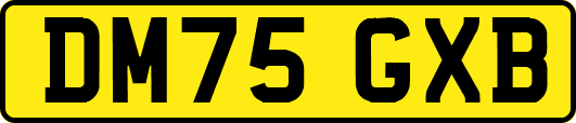 DM75GXB