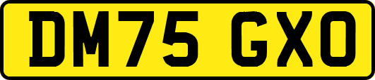 DM75GXO