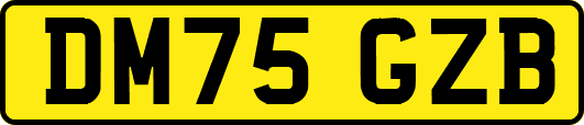 DM75GZB