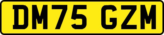 DM75GZM