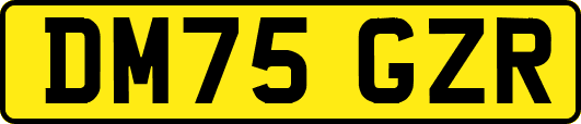 DM75GZR