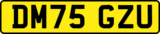 DM75GZU