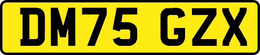 DM75GZX