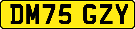 DM75GZY
