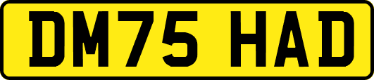 DM75HAD