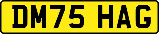 DM75HAG